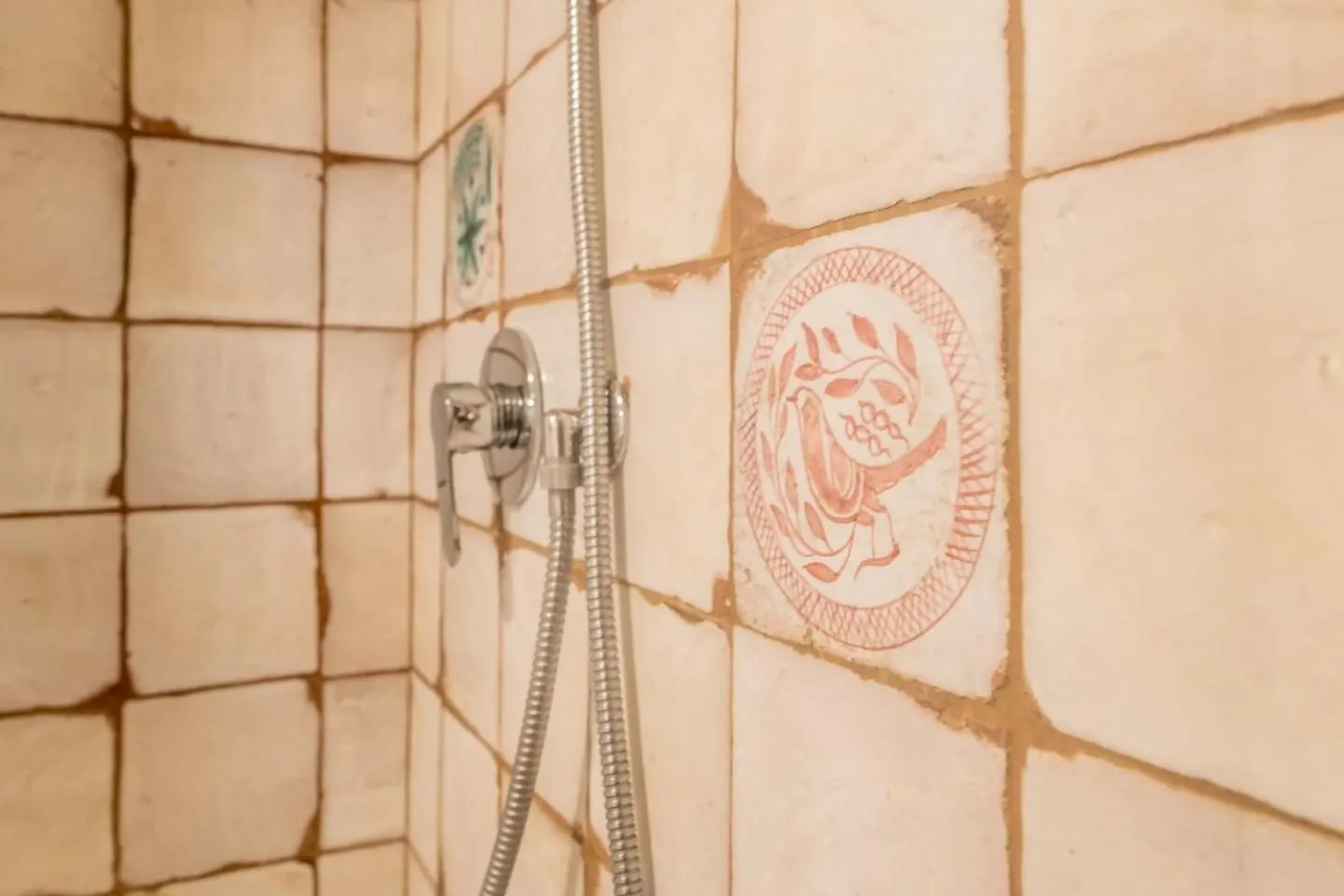 Konukevi Lh Casa Dora Otel Pisa İtalya